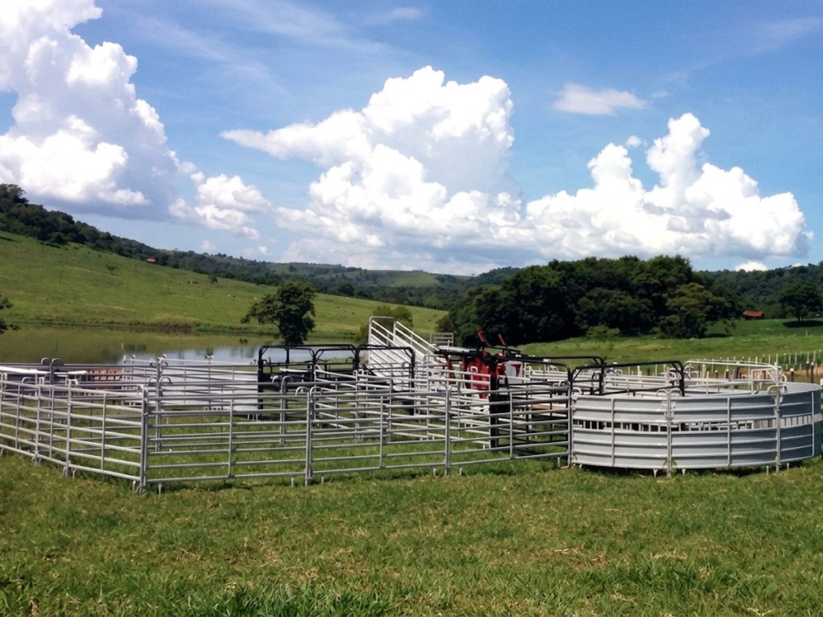 Curral Metálico Móvel Açôres montado no pasto, estrutura metálica modular para manejo bovino